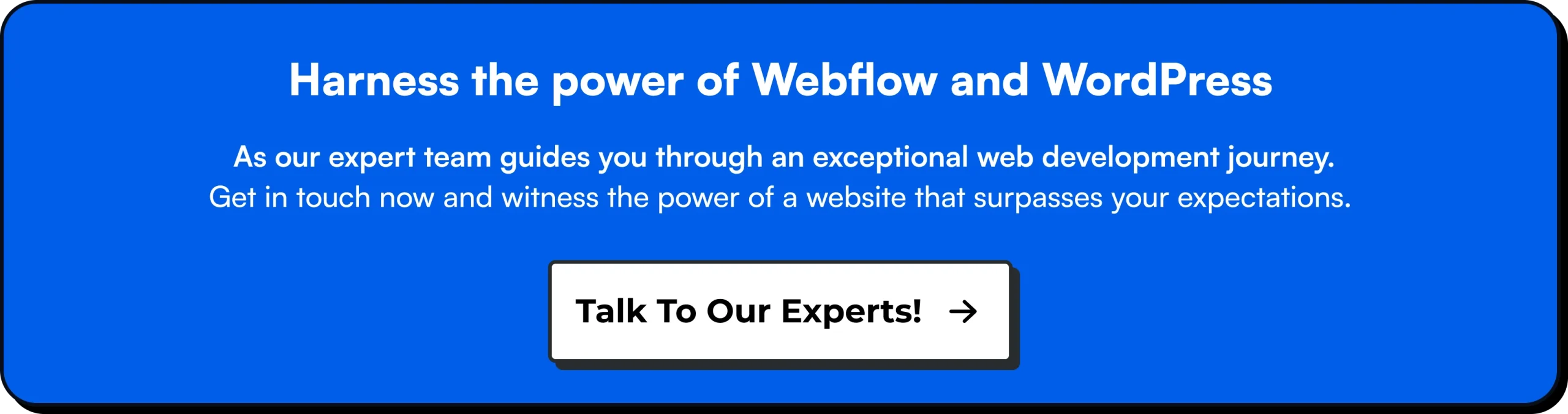 Harness the power of Webflow and WordPress as our expert team guides you through an exceptional web development journey. 