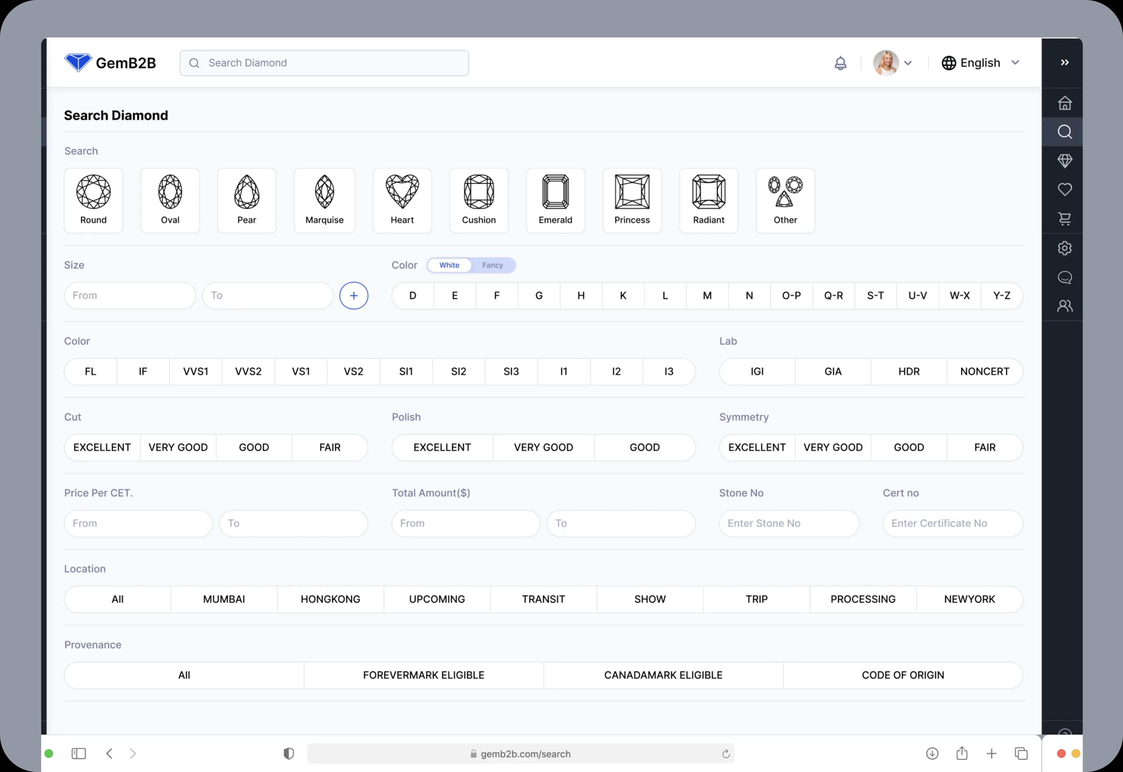GemB2B Diamond Search Screen